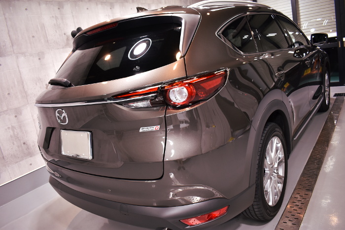 CX-8-6.jpg