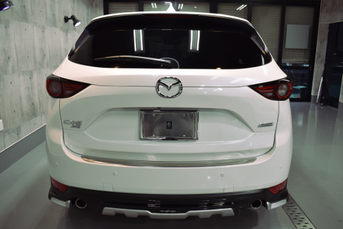 CX5.8