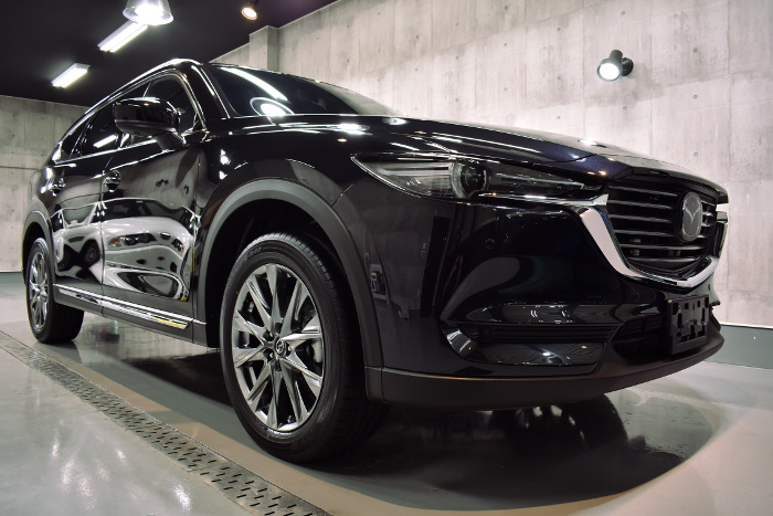 cx-8-1.jpg