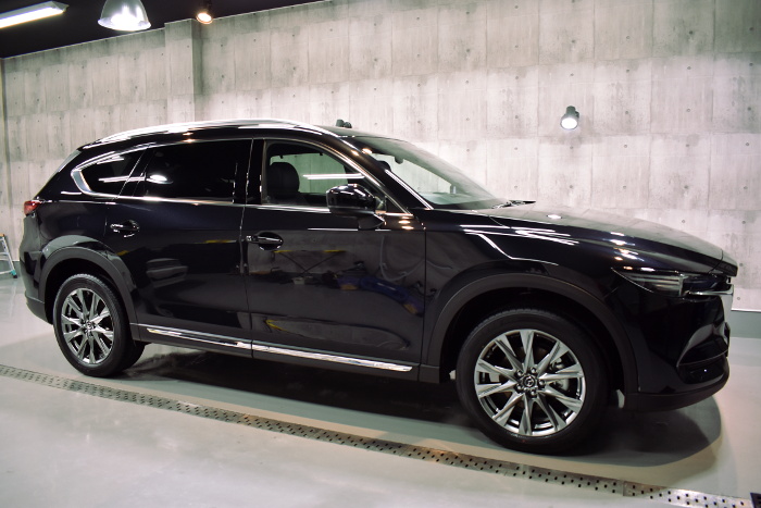 cx-8-10.jpg