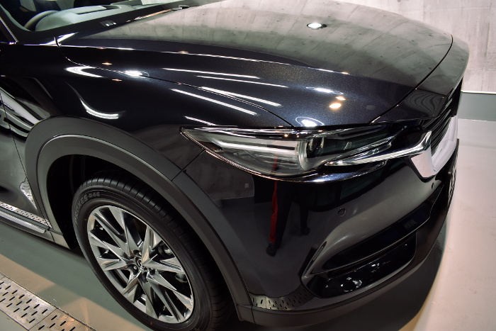 cx-8-2.jpg