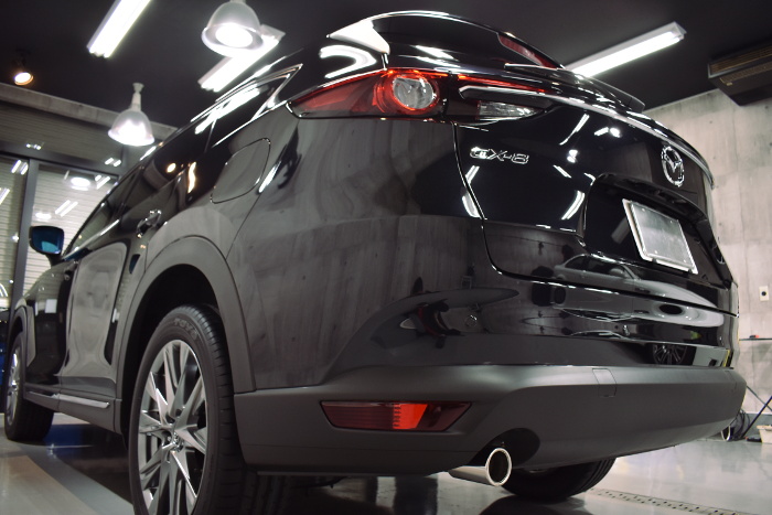 cx-8-6.jpg