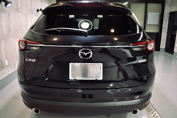 cx-8-7.jpg