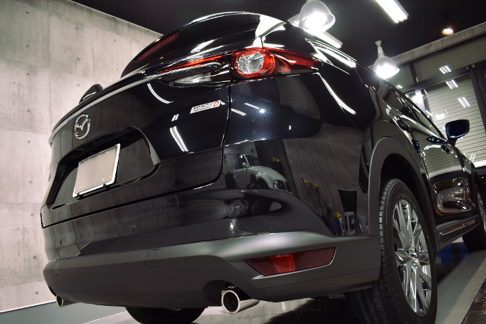 cx-8-8.jpg