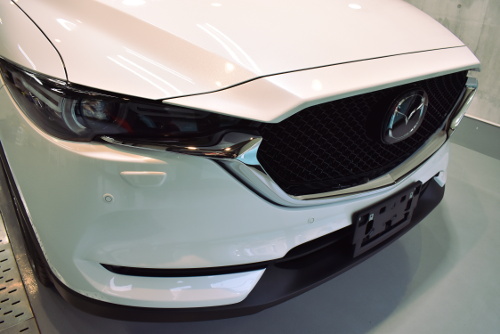 cx5.1.jpg