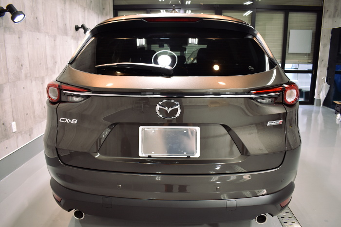 cx8-7.jpg