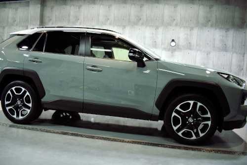 rav11.jpg