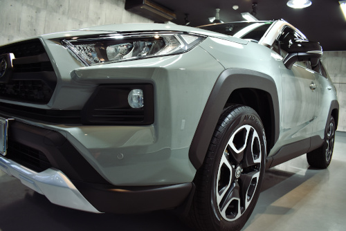 rav6.jpg