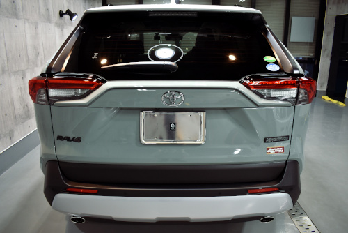 rav8.jpg